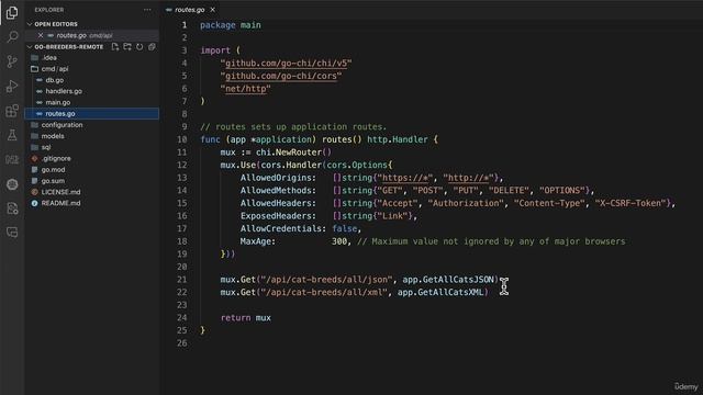 65 - Installing an application to serve JSON and XML смотреть онлайн