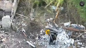 Яндекс доставка