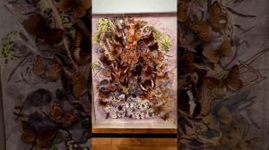 Музей бабочек в Сен- Тропе.