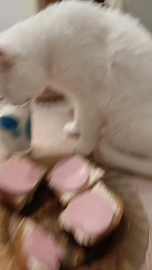 Куки 🐈😎