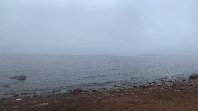 Финский залив 06.07.2025 смотреть онлайн