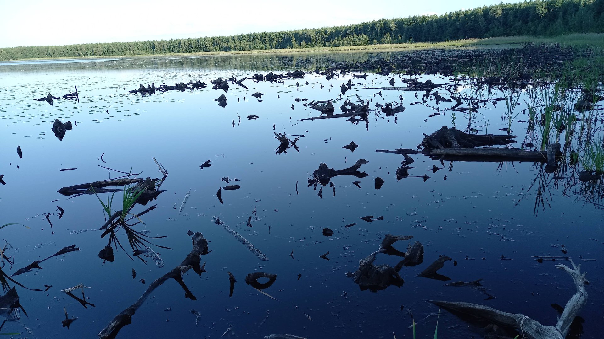 Мы нашли Черное Озеро из рассказов Паустовского | Собрание чудес 1946 | Пионерская правда смотреть онлайн