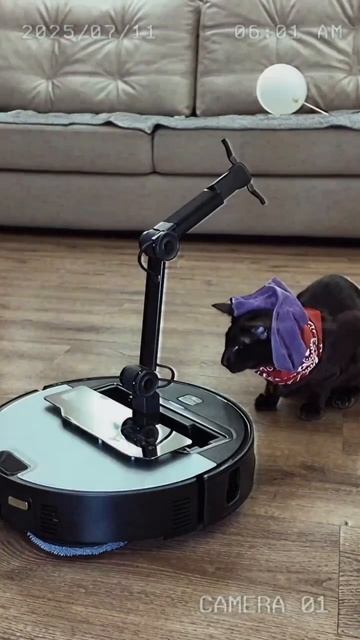 Восстание машин начинается: робот-пылесос открыто унижает котейку своей роборукой, скидывая на него смотреть онлайн