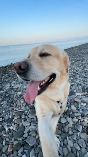 Наконец-то отпуск🌊