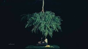 "прощай,прощай "#jungkook #bts #lisa