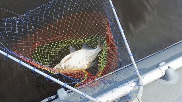 Рыбалка с лодки на леща. Нашёл точку с третьего раза. смотреть онлайн