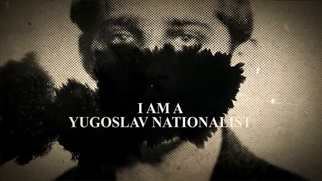 1914 - FN .380 ACP#19074 (UKRAINE)