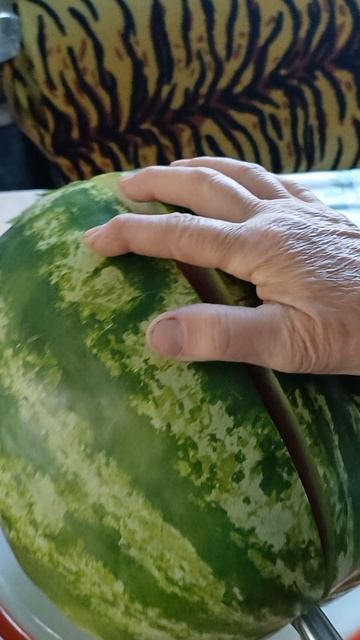 20250701_152343 смотреть онлайн