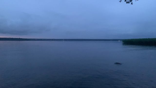 СПБ. В Прибылово полный штиль 05.07.2025 смотреть онлайн