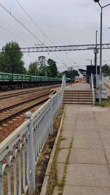 Ласточка на маршруте: Взгляд на платформу Шувалово! смотреть онлайн