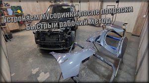 Как и чем устранить сорность после покраски. Быстрый рабочий метод.