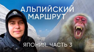 Наше Безумное Путешествие По Самому Загадочному Маршруту Японии!