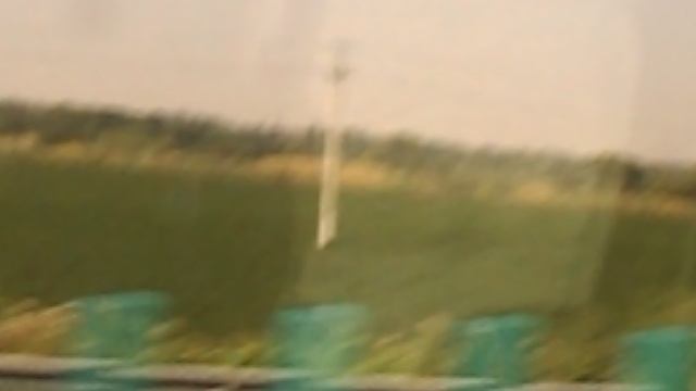 DSCN8169Лотосовый рай бассейн санатория ЛАГА июль 2025