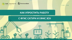 Как упростить работу с ФГИС Сатурн и ЕФИС ЗСН