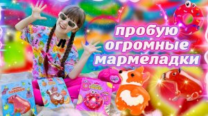 Огромный МАРМЕЛАД Капибара Пончик Корги #мармелад #капибара #пончик #корги