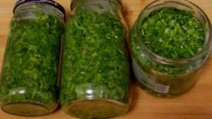 Как заготовить зеленый лук на зиму