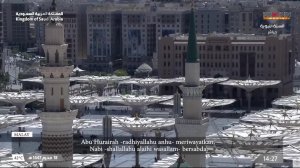 Прямой эфир с г.Медины Саудовская Аравия. Madinah Live HD 13.07.25 | ПроДинМедиа | ProDinMedia