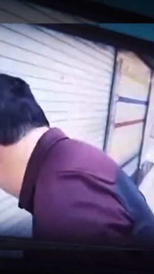 Игра в кальмара