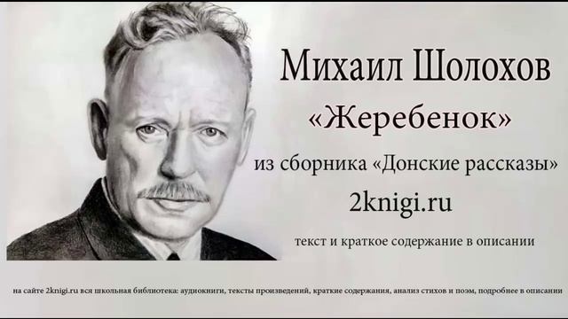 Михаил Шолохов 