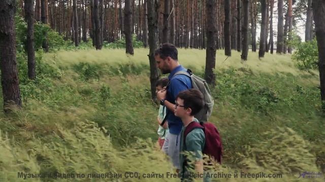 Это видео лечит душу и будит воображение - Virtual Violin Virtuoso -- Techtheist -- FMA 2021