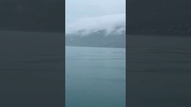 Мысли вслух