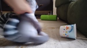 19 серия игрушек блоп топ вкусно и точка