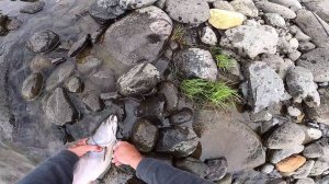 Рыбалка на реке Северная. Ловля хариуса на спиннинг. Часть вторая.