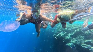 😱ОБАЛДЕЛИ ОТ ЭТОГО ВИДА! ЕГИПЕТ 2025. КРАСНОЕ МОРЕ