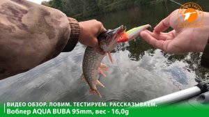 Воблер AQUA Buba: обзор и тест на щуку и окуня.