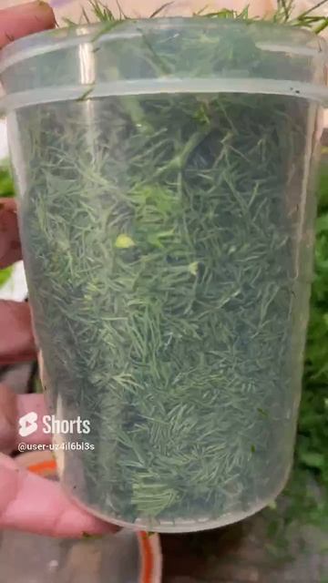 ЗАГОТОВКА УКРОПА НА ЗИМУ смотреть онлайн