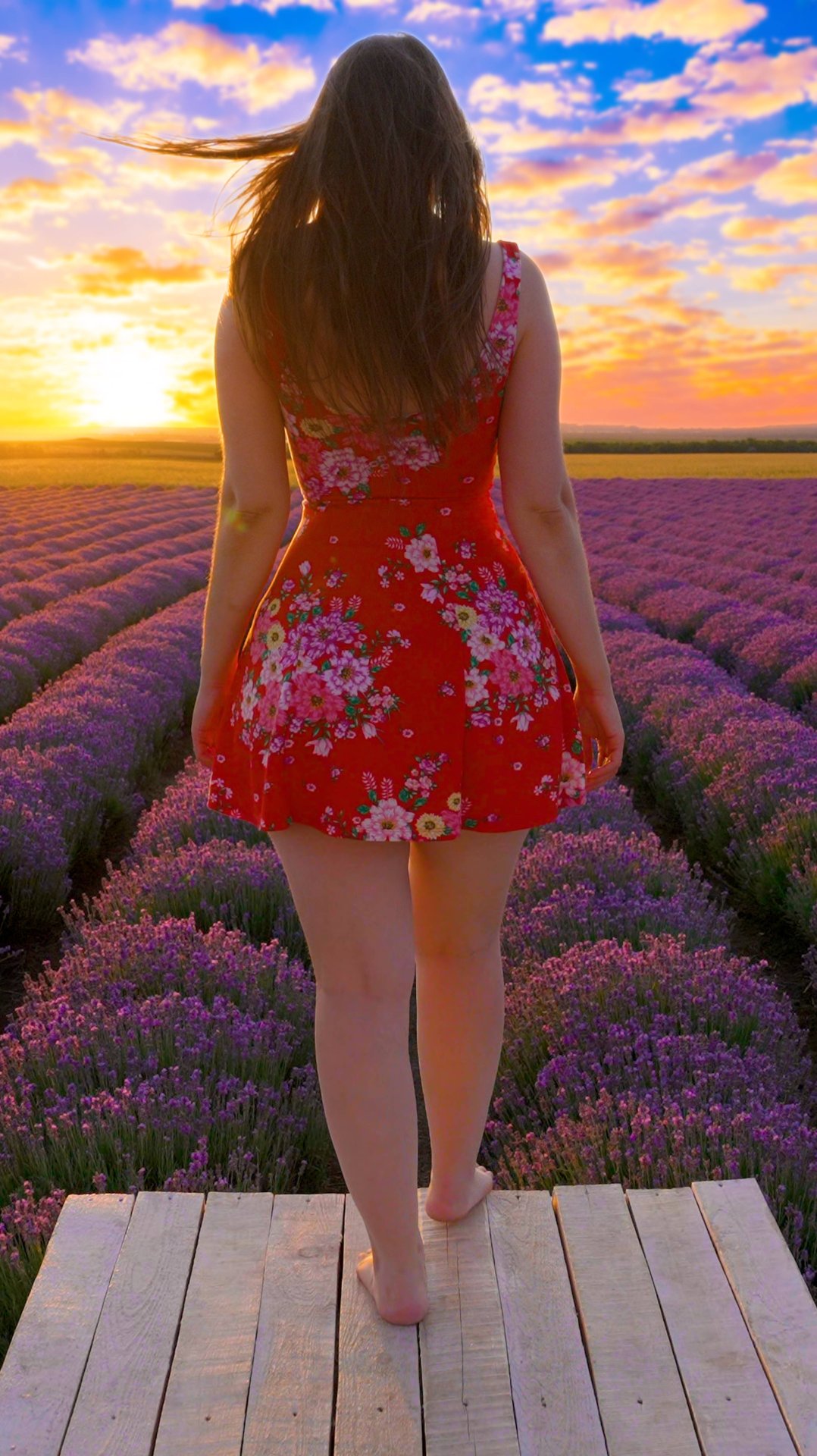 Девушка в Лаванде на Закате ❤️ Снято на 📷 Sony A1 mark 2 - 24-70 F2.8 GM II смотреть онлайн