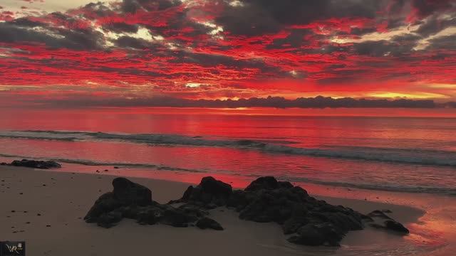 DEEP TROPICAL HOUSE ДИП-ХАУС ТРОПИК