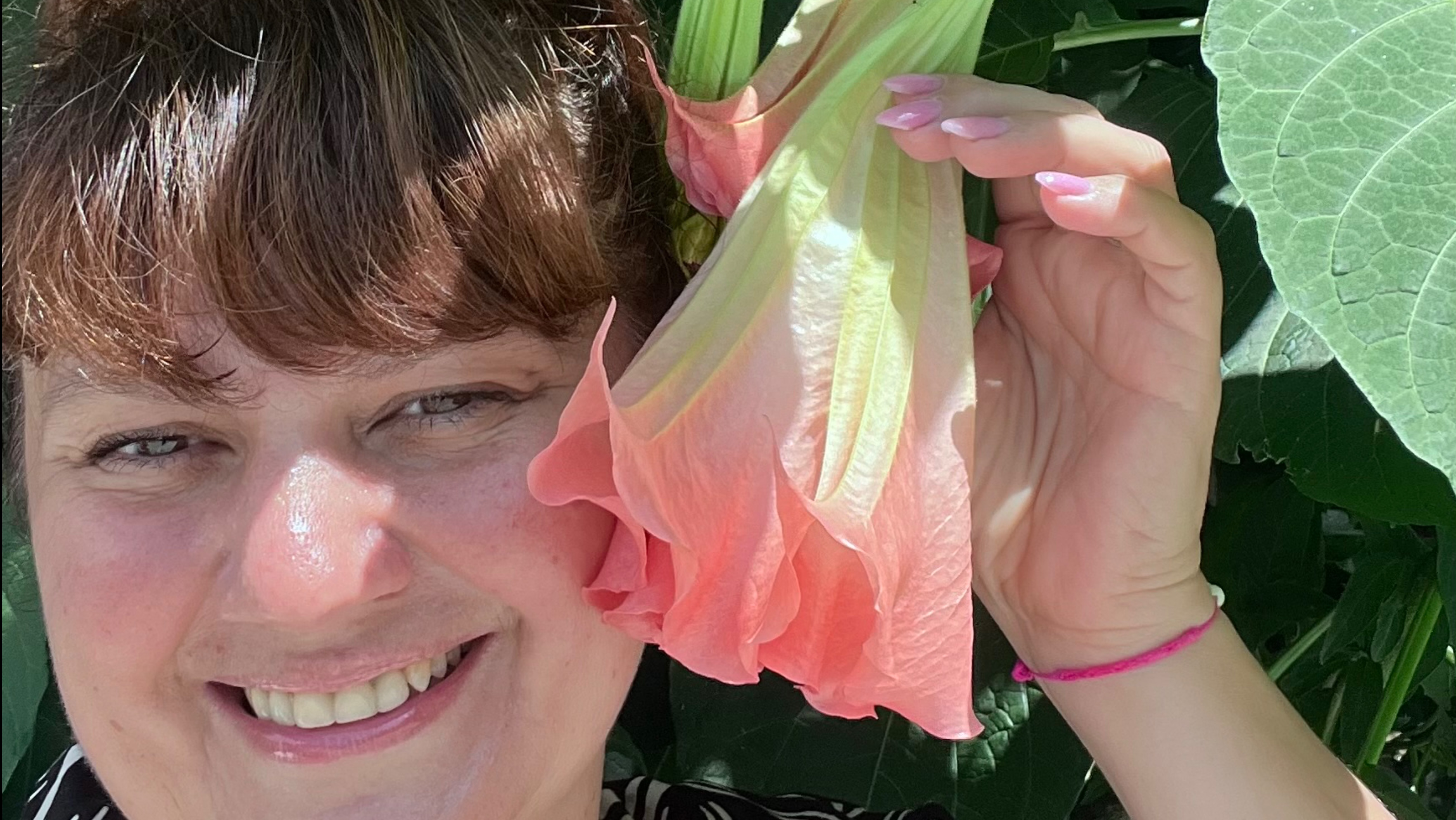 Грузия! Райское место Отель Dreamland Oasis 4* Наши апартаменты смотреть онлайн