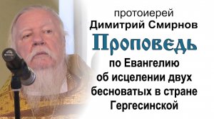 По Евангелию об исцелении двух бесноватых (2014.07.13). Прот. Димитрий Смирнов