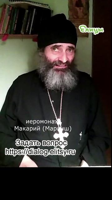 Игры у детей и взрослых. Азарт и время. Иеромонах Макарий (Маркиш) #shorts смотреть онлайн