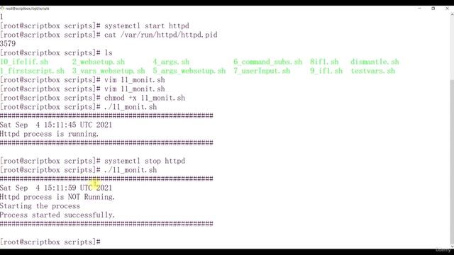 021 Script For Monitoring смотреть онлайн