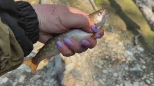 Ловим мелочевку с отцом, Сахалин