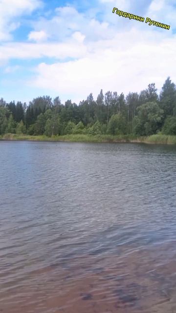 Отдыхаем а Питере, пляжный отдых на природе. 4 Карьера возле поселка Павлово смотреть онлайн