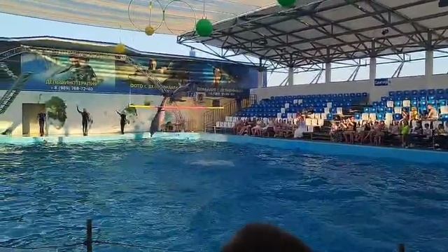 Семейный отдых в дельфинарии станицы Голубицкой смотреть онлайн