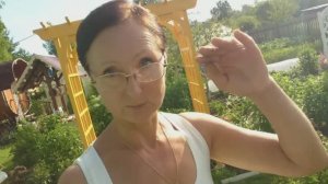 Видео привет с 6 соток 12 июля 2025 года