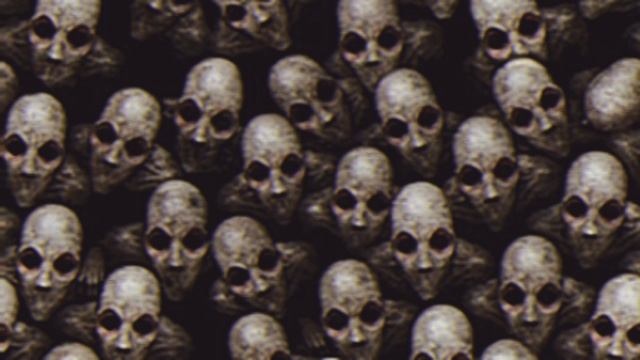 милое видео ❤