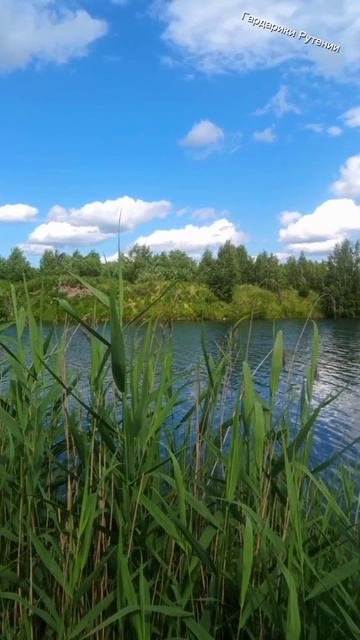 Карьер Келколово, поселок Келколово, Ленинградская область, пляжный отдых в Питере смотреть онлайн