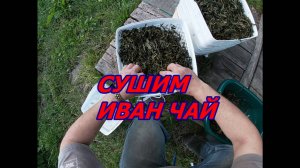 СУШИМ ИВАН ЧАЙ.
