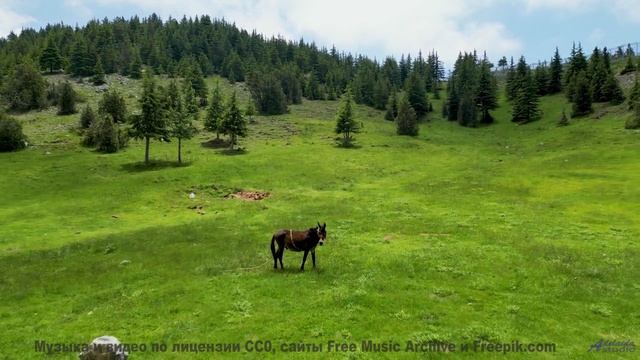 Вы никогда не видели природу такой - это шокирует! - All To Myself -- Tadz -- Soul Symphonies Vol.1