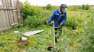 Собрали и Продали Вишню, и очередной калым покос травы Тримером.