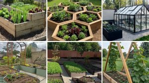 Сборник идей для ОГОРОДА!🍅