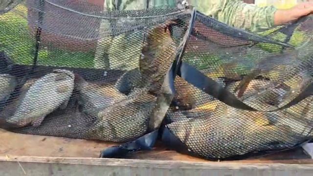 WhatsApp Video 2025-07-13 at 07.29.08 смотреть онлайн