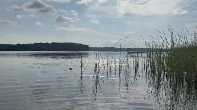 Река Мера в Заволжском районе. Сегодня впервые в этом году искупались! У нас стоит аномальная жара смотреть онлайн