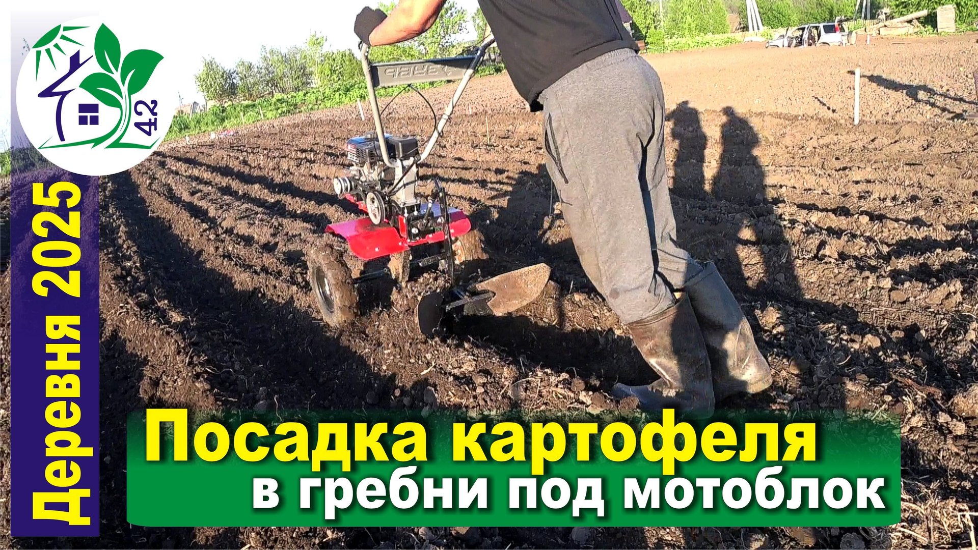 Посадка картофеля в гребни под мотоблок - первые работы в деревне