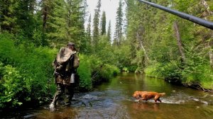 Рыбалка на Хариуса/ Клюет, как из пулемета.